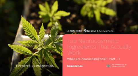 Top Neurocosmetic Ingredients That Actually Work